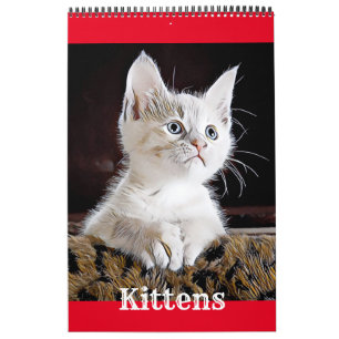 KITTENS CATS PUPPIES - Calendar