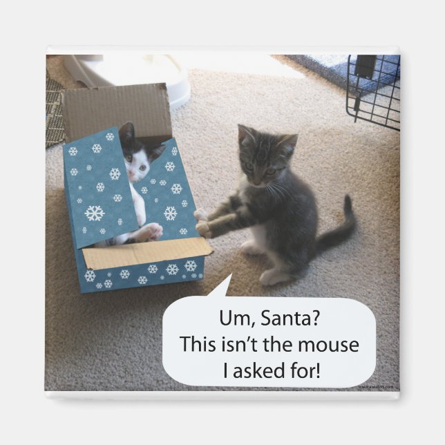 Kitten's Christmas Surprise Magnet (Front)
