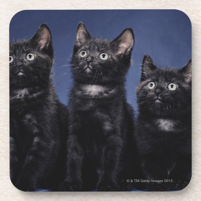 Kittens Coaster (Front)