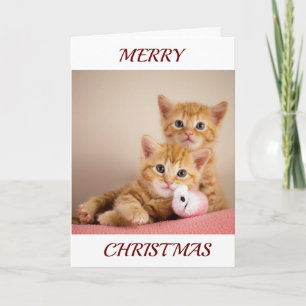KITTENS COME OUT TO SAY *MERRY CHRISTMAS* HOLIDAY CARD