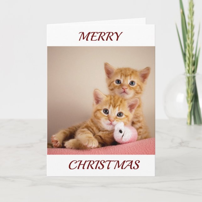 KITTENS COME OUT TO SAY *MERRY CHRISTMAS* HOLIDAY CARD (Front)