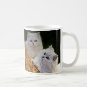 Kittens come play coffee mug