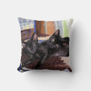 Kittens Cushion