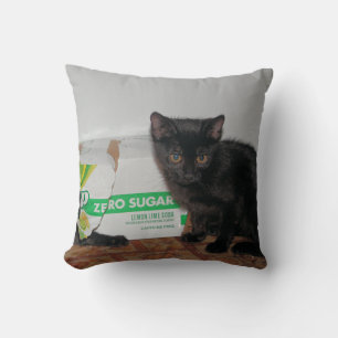 Kittens Cushion