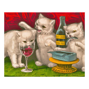 Kittens drinking and eating sardine fish photo print
