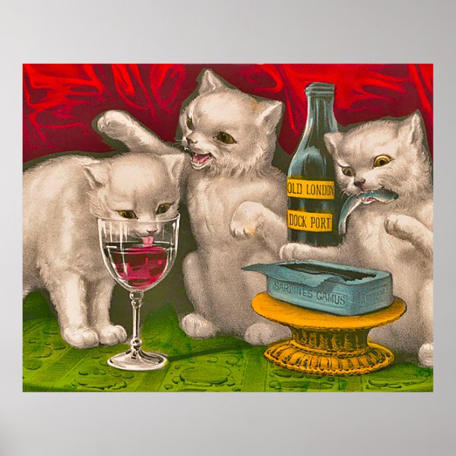 Kittens drinking and eating sardine fish poster (Front)