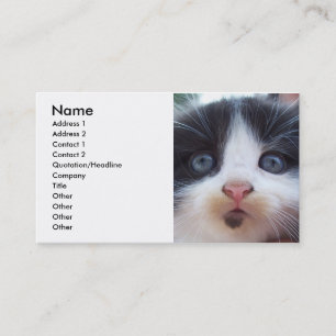 Kittens Face Business Card