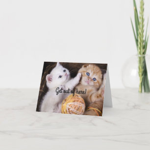Kittens Happy Birthday card