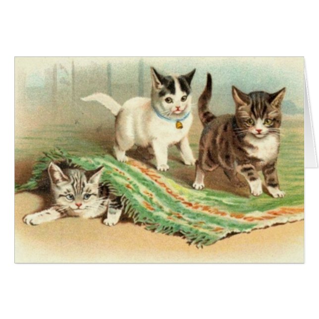 Kittens Hide and Seek (Front Horizontal)