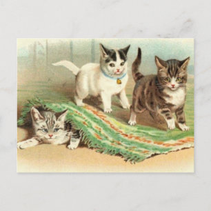 Kittens Hide and Seek Postcard