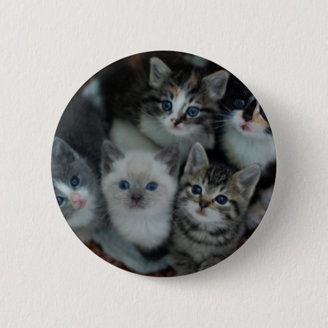 Kittens In A Basket 6 Cm Round Badge (Front)