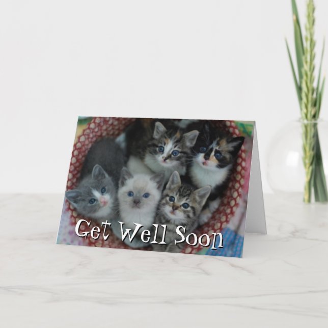 Kittens In A Basket Card (Front)