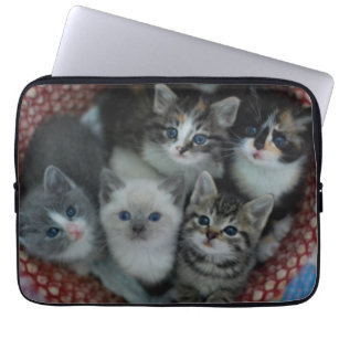 Kittens In A Basket Laptop Sleeve