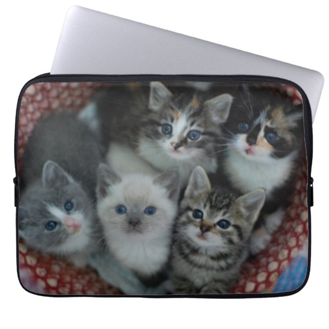 Kittens In A Basket Laptop Sleeve (Front)