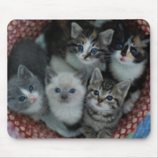 Kittens In A Basket Mouse Mat