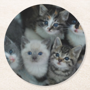 Kittens In A Basket Round Paper Coaster