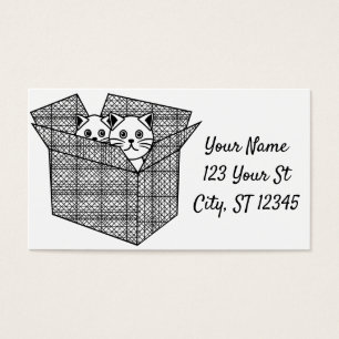 Kittens in a Box Thunder_Cove