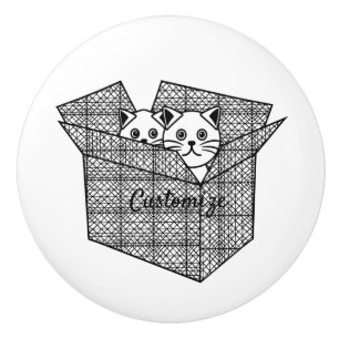 Kittens in a Box Thunder_Cove Ceramic Knob