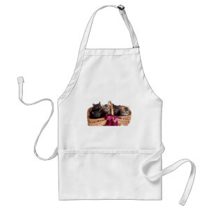 kittens in a wicker basket standard apron