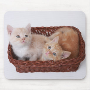 Kittens in basket mouse mat