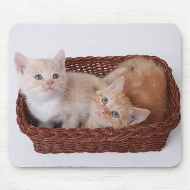 Kittens in basket mouse mat (Front)