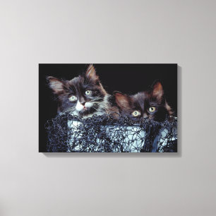 Kittens in container canvas print