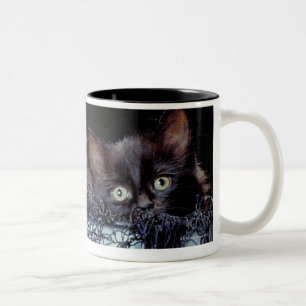 Kittens in container Two-Tone coffee mug