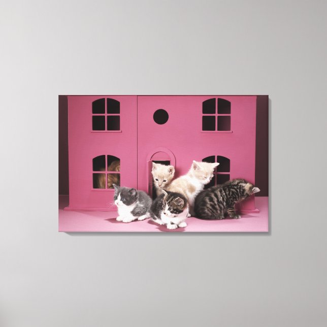 Kittens in doll's house canvas print (Front)