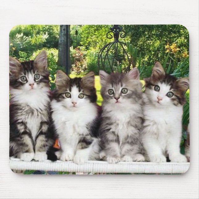 kittens in garden mousepad (Front)