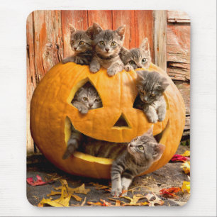Kittens in Jack-o-Lantern Mouse Mat