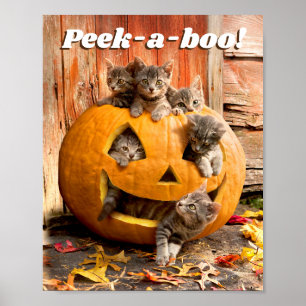 Kittens in Jack-o-Lantern Poster
