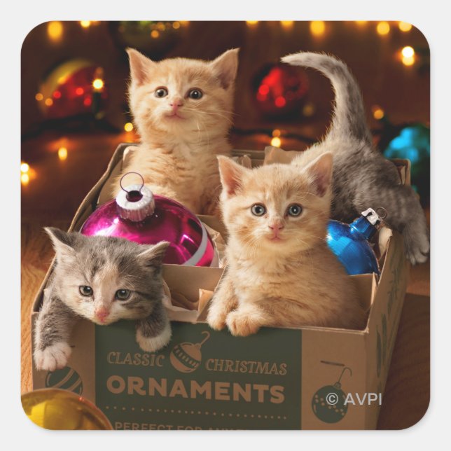 Kittens in Ornament Box Square Sticker (Front)