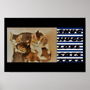 Kittens in repose picture original poster