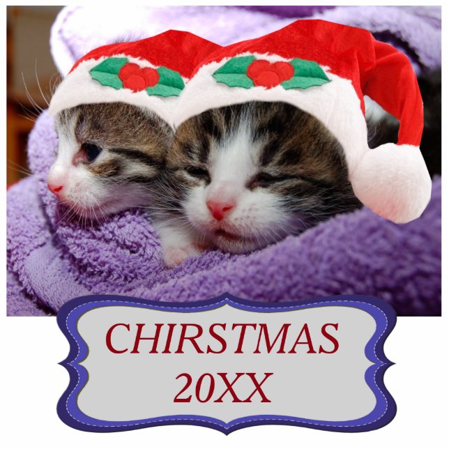 Kittens in Santa Hats Christmas 20XX Ornament Photo Sculpture Decoration (Front)