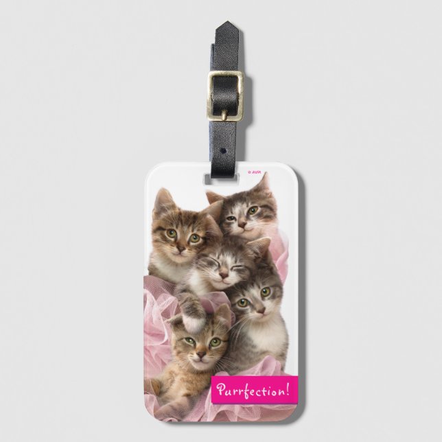 Kittens in Tutus Luggage Tag (Front Vertical)