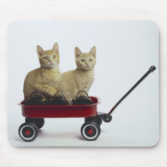 Kittens in wagon mouse mat (Front)