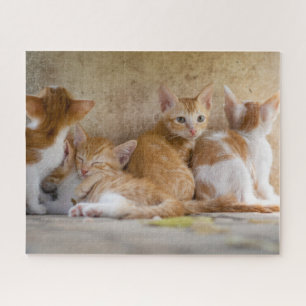 Kittens Jigsaw Puzzle