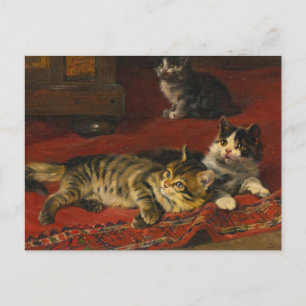 Kittens   Julius Adam the Younger Postcard