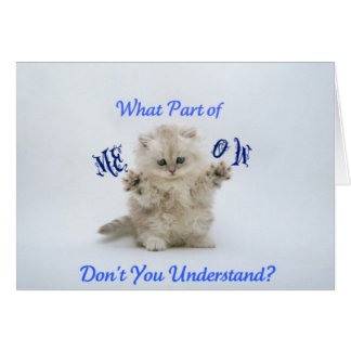 Kittens Meow Attitude