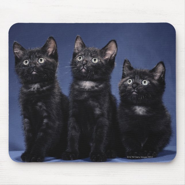 Kittens Mouse Mat (Front)