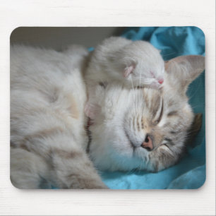 Kittens mum and son mouse mat