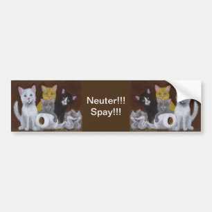 Kittens Neuter Spay Bumper Sticker