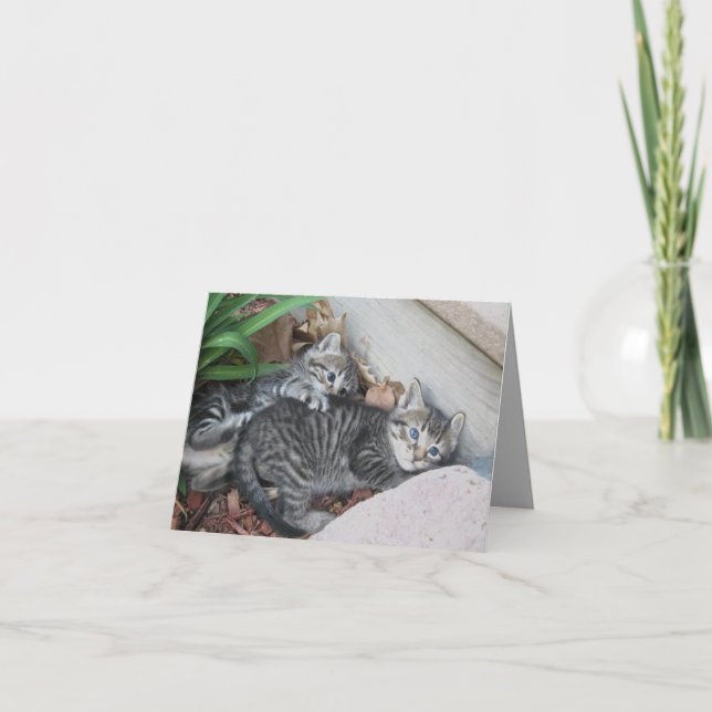 Kittens Note Card (Front)