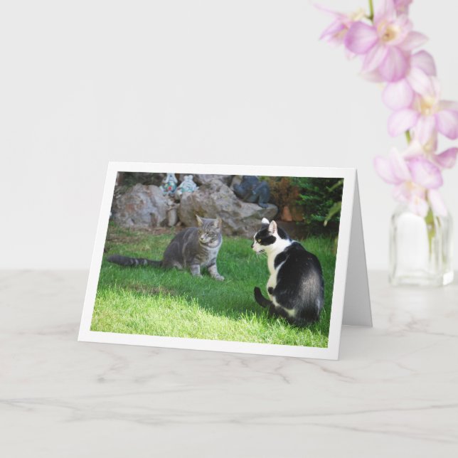 Kittens on Grass Card (Orchid)