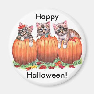 Kittens on Pumpkins for Halloween Button Magnet