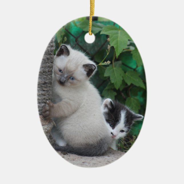 Kittens ornament (Front)