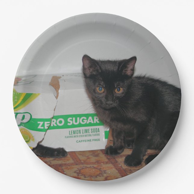 Kittens Paper Plate (Front)