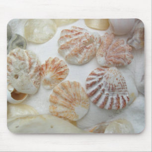 Kitten's Paw Seashells Mouse Mat