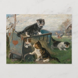 Kittens Playing   Julius Adam the Younger Postcard