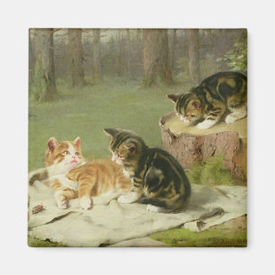 Kittens Playing Magnet